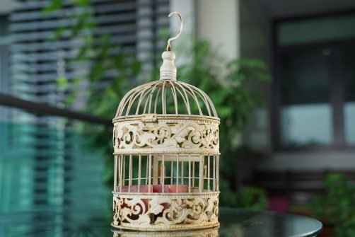 bird-cage-vintage 2767374_1920